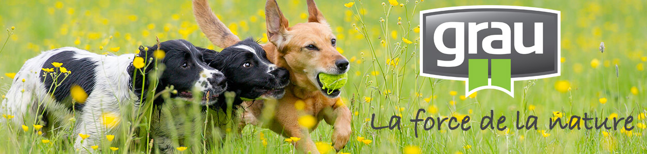 CROCI Mylord Bavette R/églable en Cuir pour Chien Turquoise cm 25-40 x 10 mm